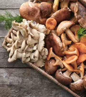 Mushrooms For Babies Safety, Health Benefits And Recipes1