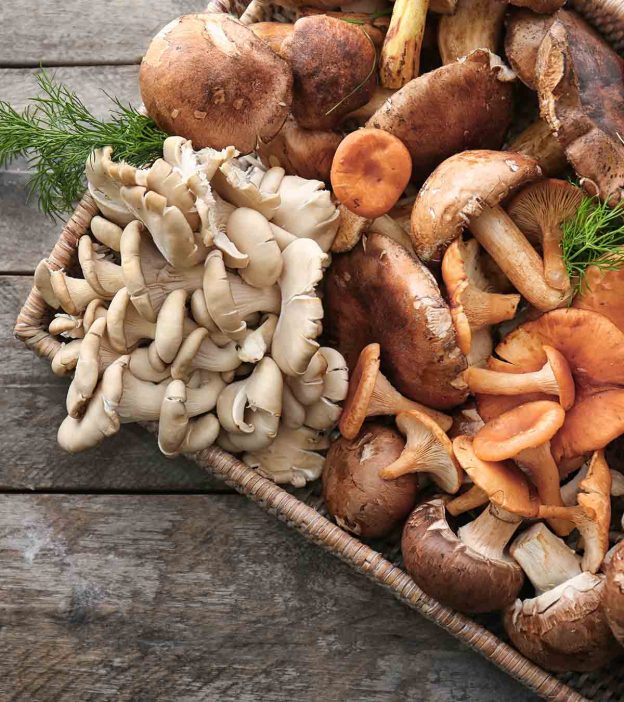 Mushrooms For Babies: Safety, Health Benefits And Recipes