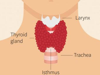 बच्चों में थायराइड के लक्षण व इलाज | Baccho Me Thyroid Ke Lakshan