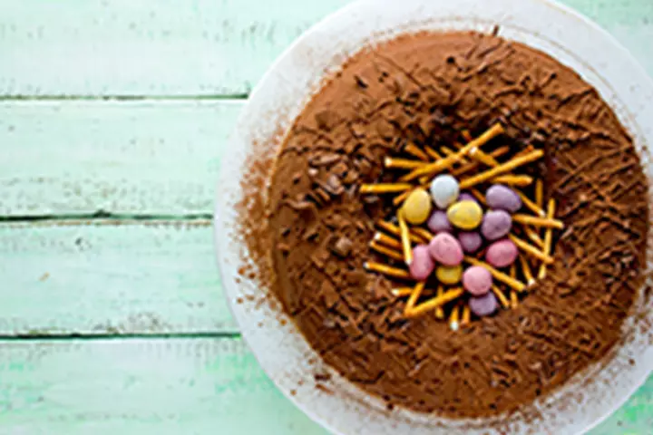 Birds Nest Chocolate Cake