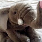 Wild Republic Baby Elephant Soft Toy-Wild Republic Baby Elephant Soft Toy-By rajeswaritcode
