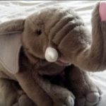 Wild Republic Baby Elephant Soft Toy-Cute baby elephant-By sameera_pathan