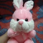 Play Toons Bunny Soft Toy-Soft bunny-By sameera_pathan