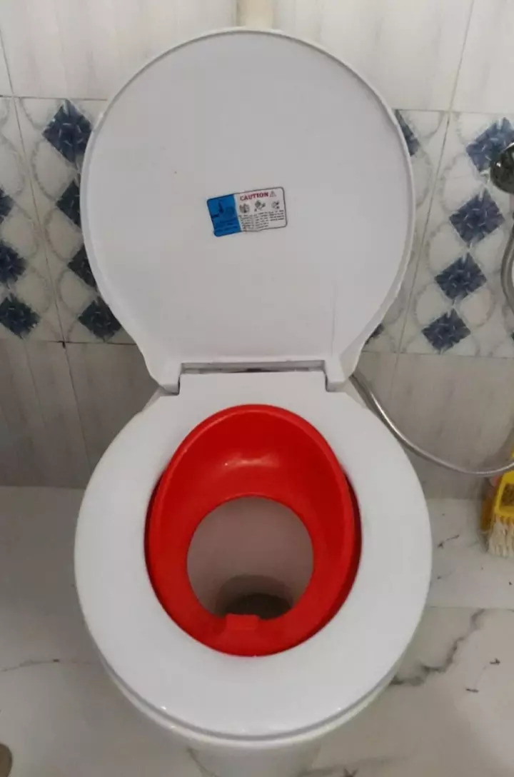 1st Step Potty Seat with Animal Print Reviews, Features, How to use, Price