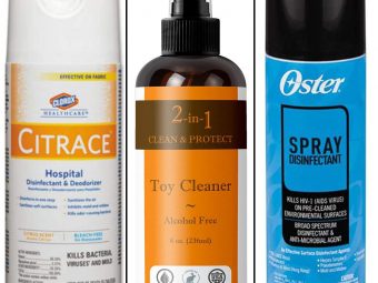 13 Best Disinfectant Sprays In 2021