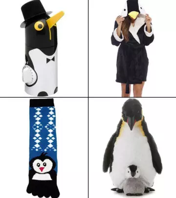 Gifts For Penguin Lovers