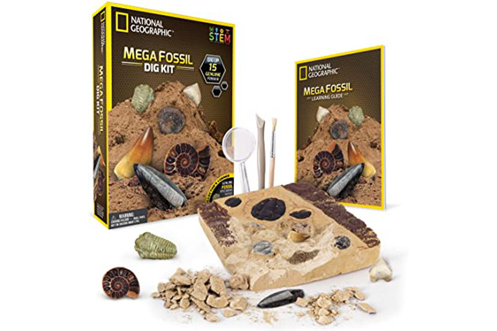 National Geographic Mega Fossil Dig Kit