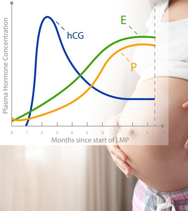 गर्भावस्था में एचसीजी का स्तर | Pregnancy Me hCG Level Kitna Hona Chahiye