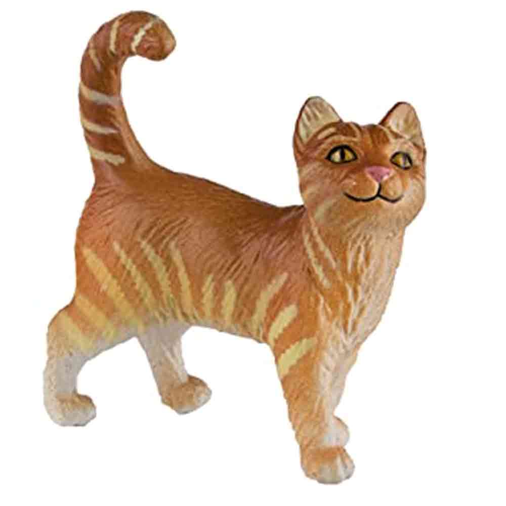Safari Ltd  Tabby Cat