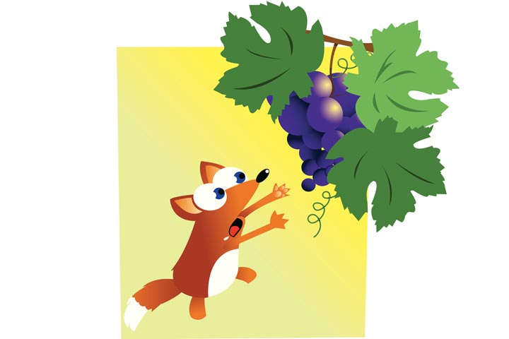 The fox takes a running leap at the grapevine