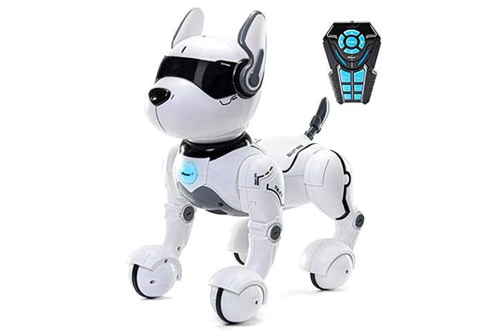 top race robot dog