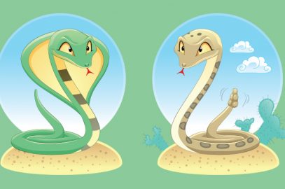 दो सांपों की कहानी | Two Snakes Story In Hindi