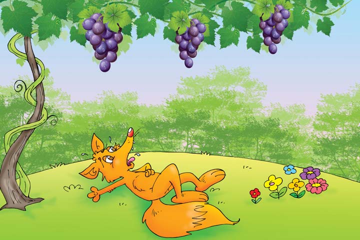 The fox looks up at the grapes with disgust