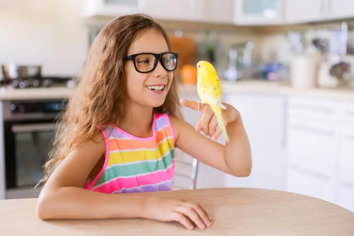 Birds as best pets for kids