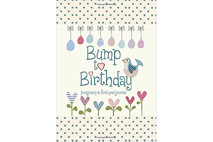 Bump to Birthday by Journals of a Lifetime And Helen Stephens