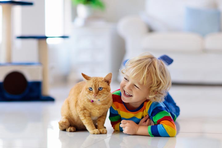 Cats as best pets for kids