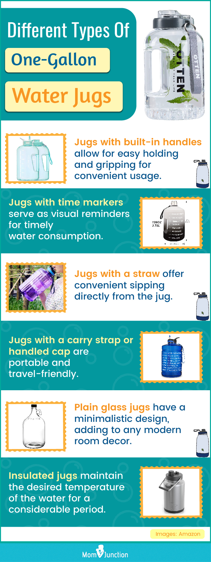 Different Types Of One Gallon Water Jugs (infographic)