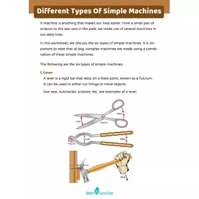 Different Types Of Simple Machines_image