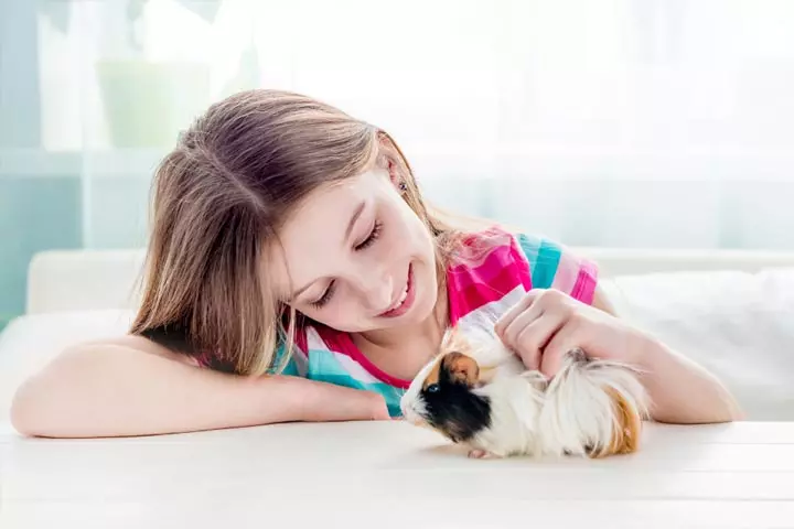 Guinea pigs as best pets for kids