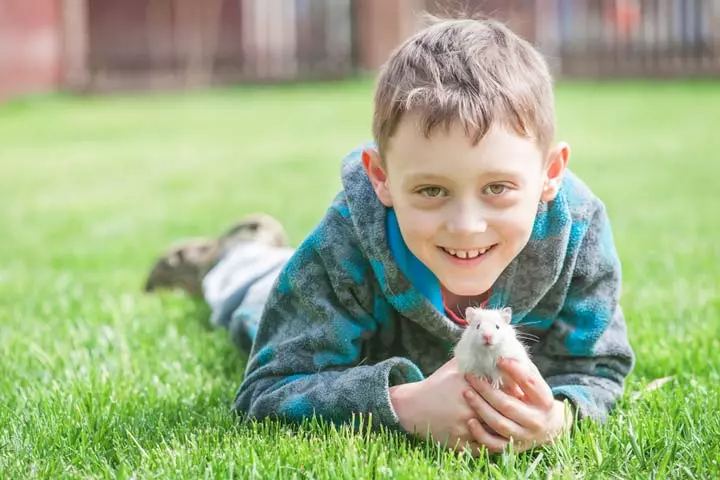 Hamsters as best pets for kids