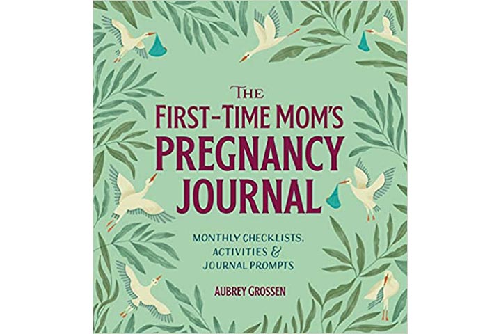 The First-Time Mom's Pregnancy Journal by Aubrey Grossen
