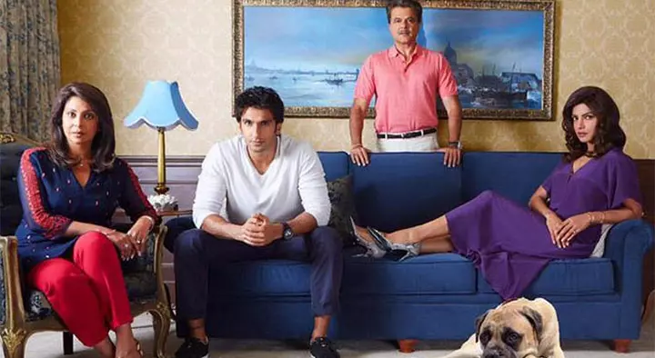 The Mehras In Dil Dhadakne Do