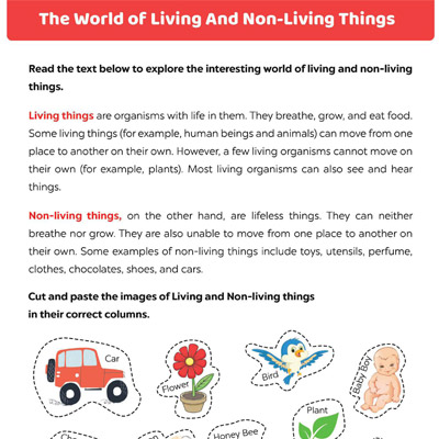 The World of Living And Non-Living Things