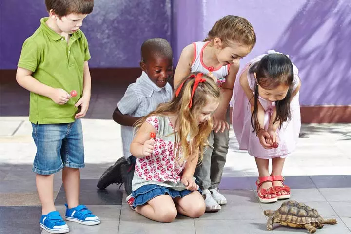 Turtles as best pets for kids