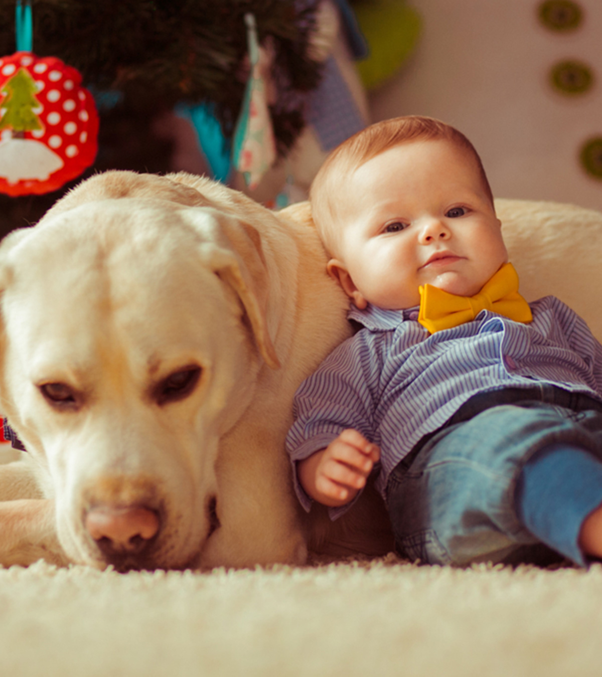The Beautiful Bond Between Babies And Dogs