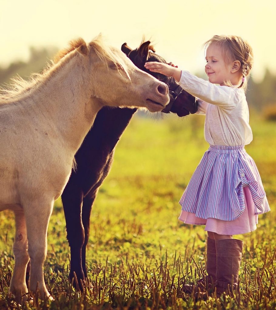 Albums 102+ Images pictures of horses for kids Superb