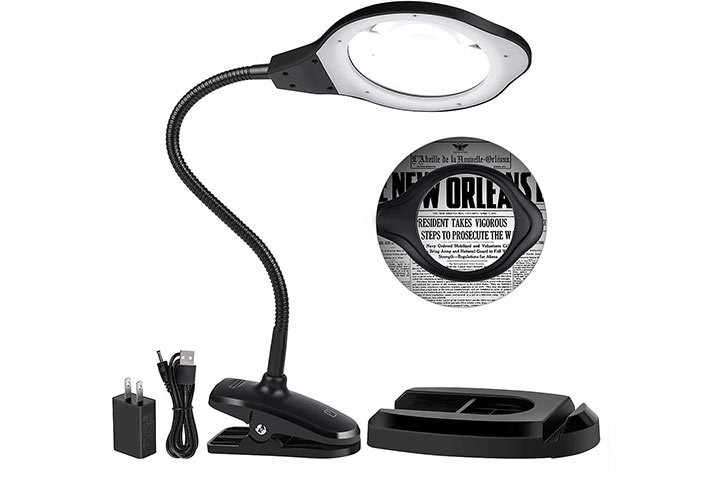 Dylviw Magnifying Glass Lamp 