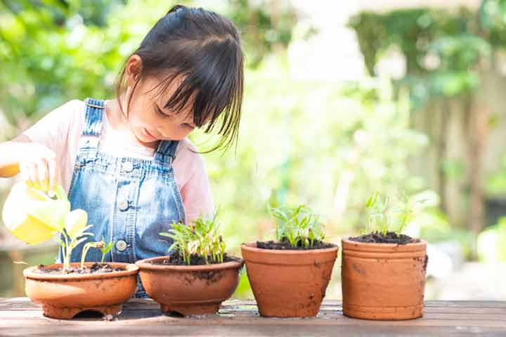Gardening as a hobby for kids