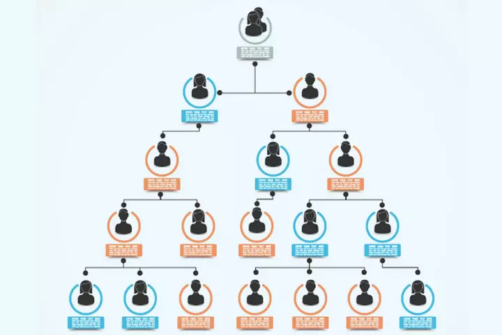 Infographic family tree, family tree idea