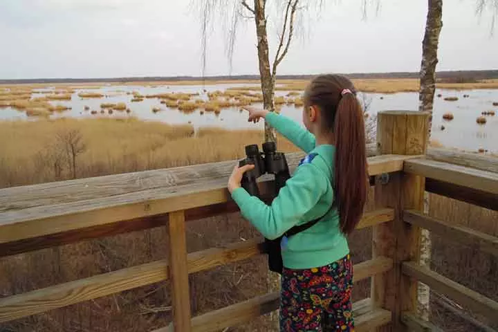 Nature watching as a hobby for kids