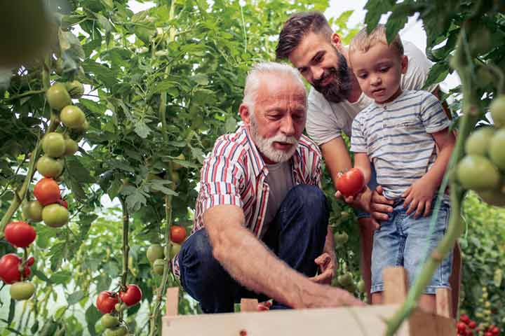 Organic farming as a hobby for kids