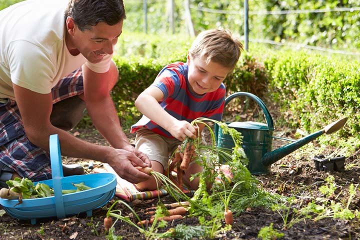 Outdoor Gardening activities for 8 year olds