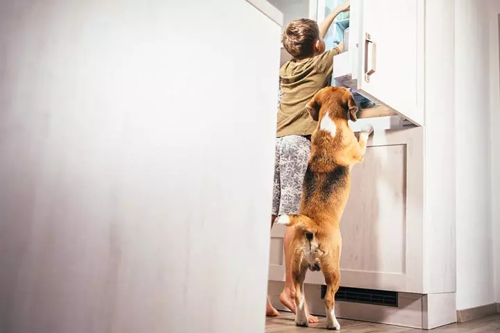 When Your Kids Learn That Refrigerator Shelves Are Detachable