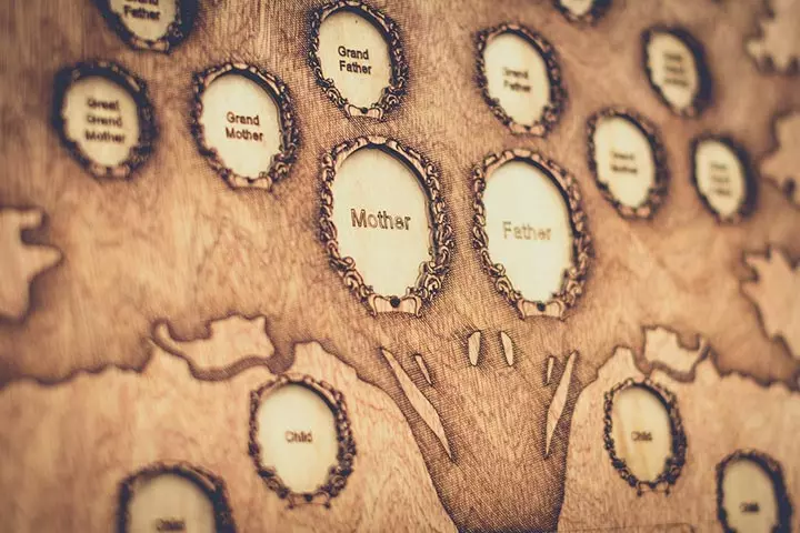 Wooden frame family tree, family tree idea