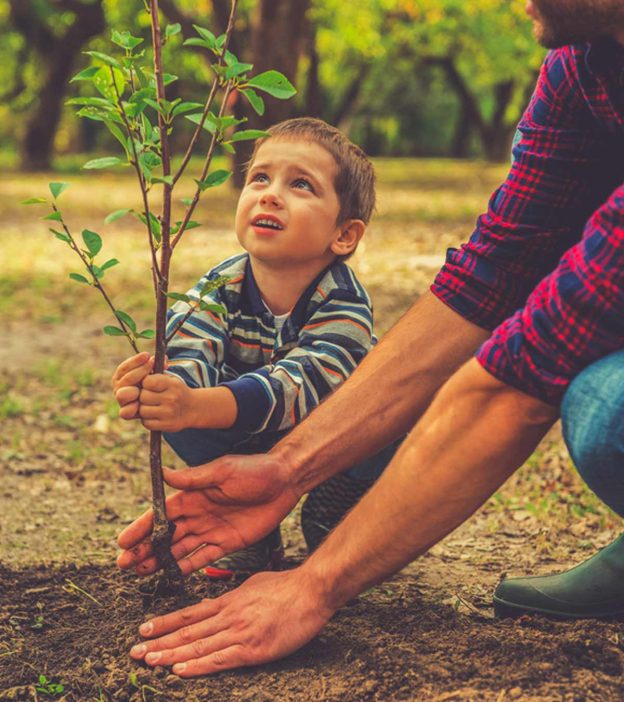 55+ Interesting Facts And Information About Plants For Kids
