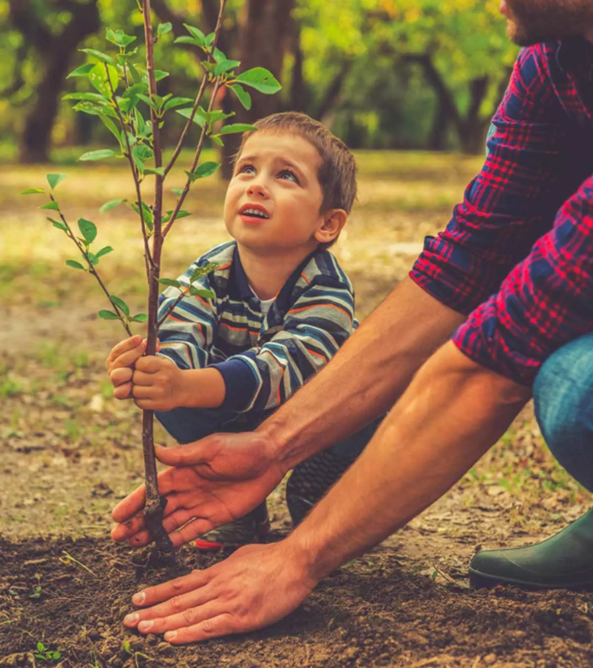 Teach your children why plants are essential and how to care for them.