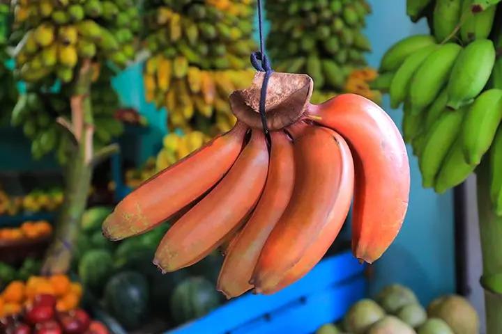 red-banana-benefits-during-pregnancy-in-tamil