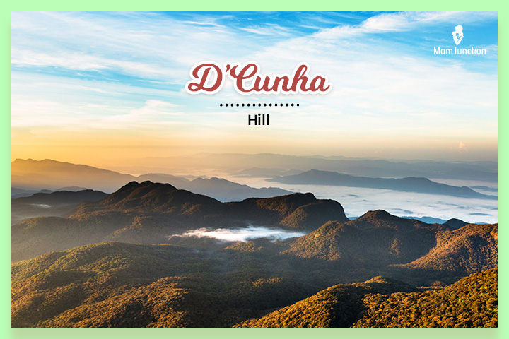 D'Cunha, a popular Indian Christian surname