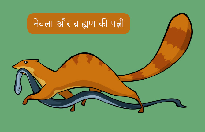 The Brahmani The Mongoose Story In Hindi