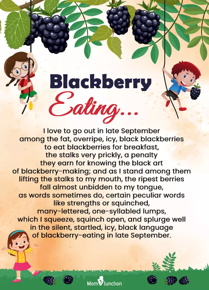 Blackberry Eating