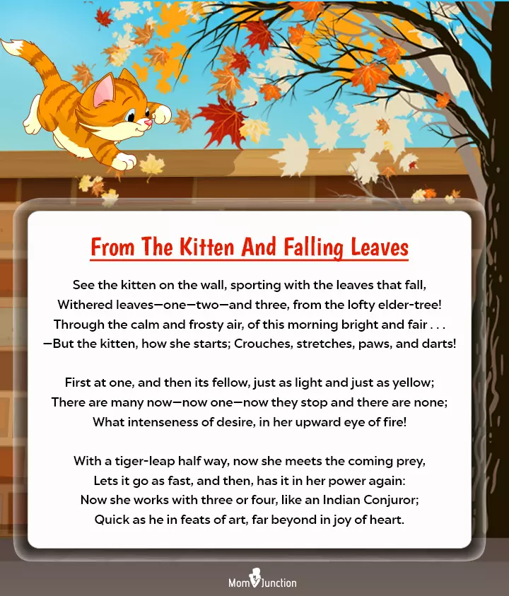 From The Kitten And Falling Leaves