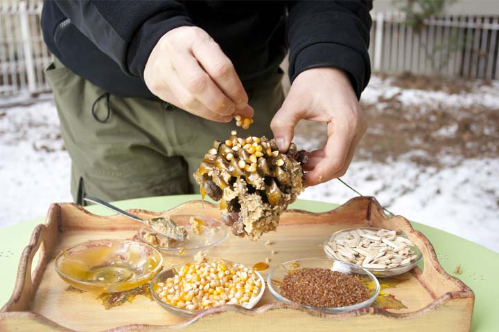 Bird feeder-making activities for 3 year old