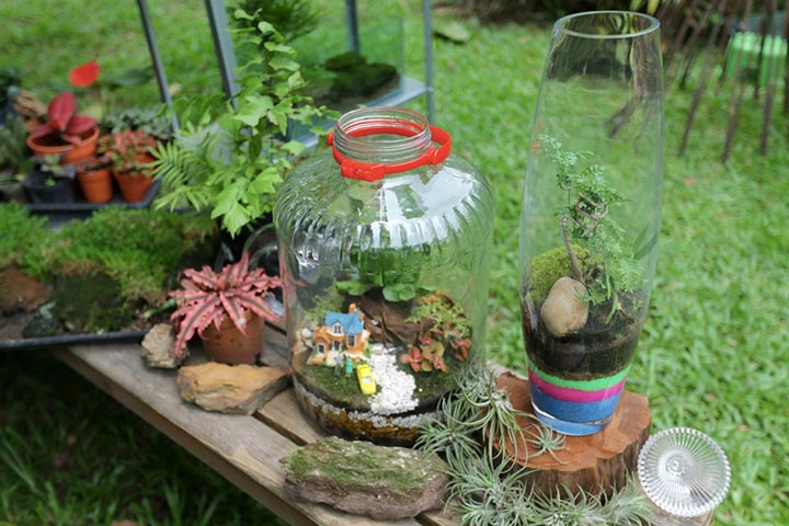 Building a terrarium as an indoor activity for 7-year-olds
