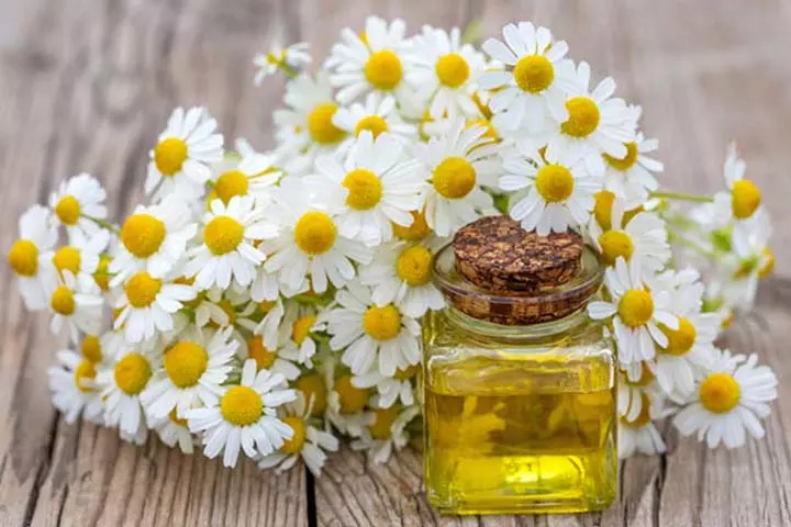 Chamomile essential oil for kids