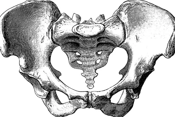 Childbearing Hips Do They Make Any Difference In Childbirth4