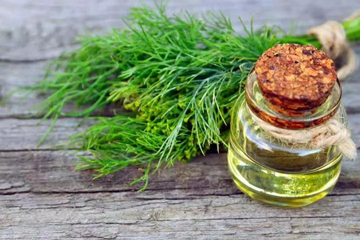 Dill essential oil for kids